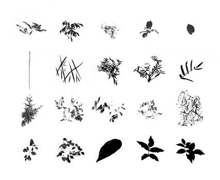 Foliage Brush Set - images