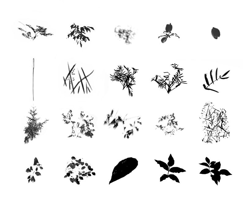 Foliage Brush Set images by dierat on DeviantArt