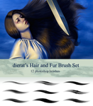 Hair and Fur Brush Set by dierat