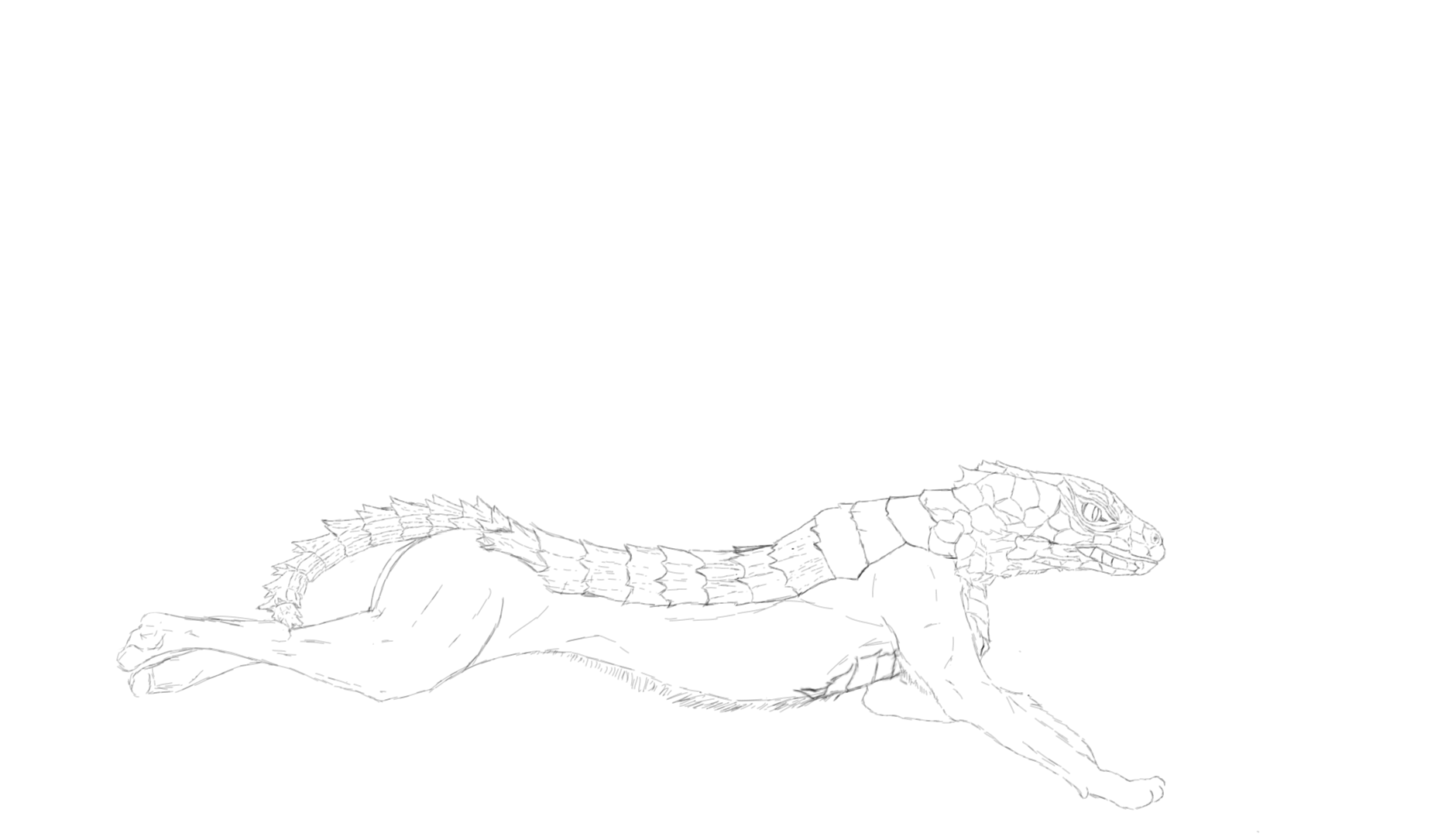 Lizard Thing (WIP) by EnvelopeDude on DeviantArt