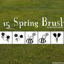 Spring Brushes