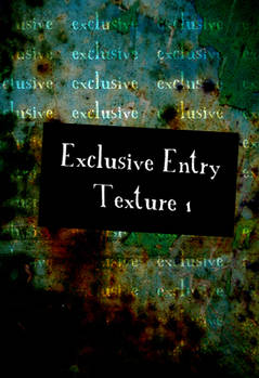 Exclusive Entry Texture 1