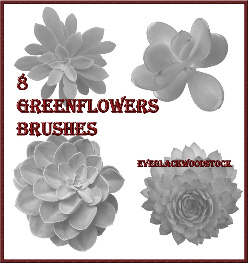 cactus greenflowers brushes