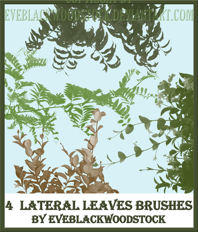 lateral foliage brushes