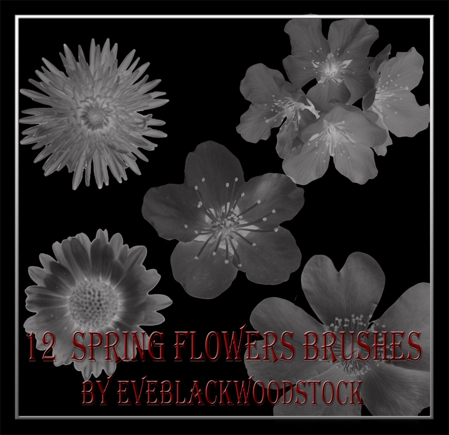 spring flowers brushes