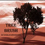 tree brush 2