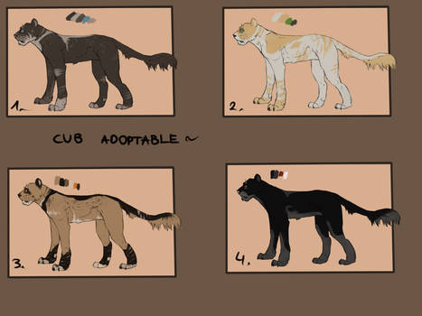 Cub adoptable for 70 points [2/4 OPEN]