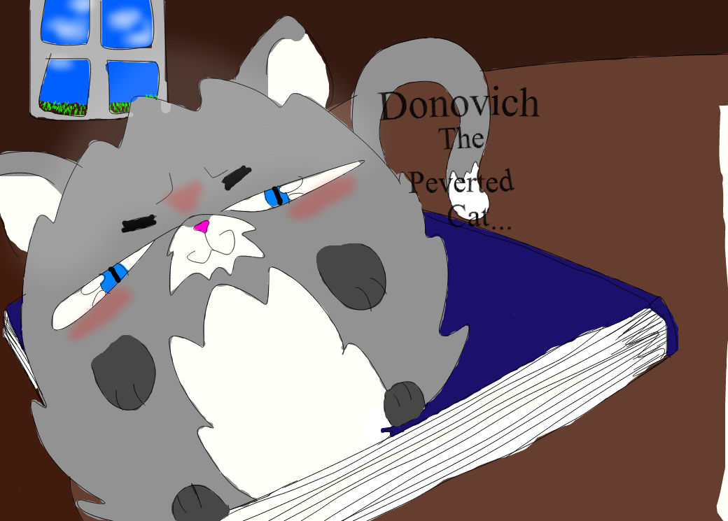 Donivich the perverted cat by Swift-Note007 on DeviantArt