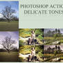 Photoshop Action - Delicate Tones