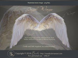 AngelWings - psd-files