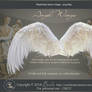 AngelWings2 - psd-files