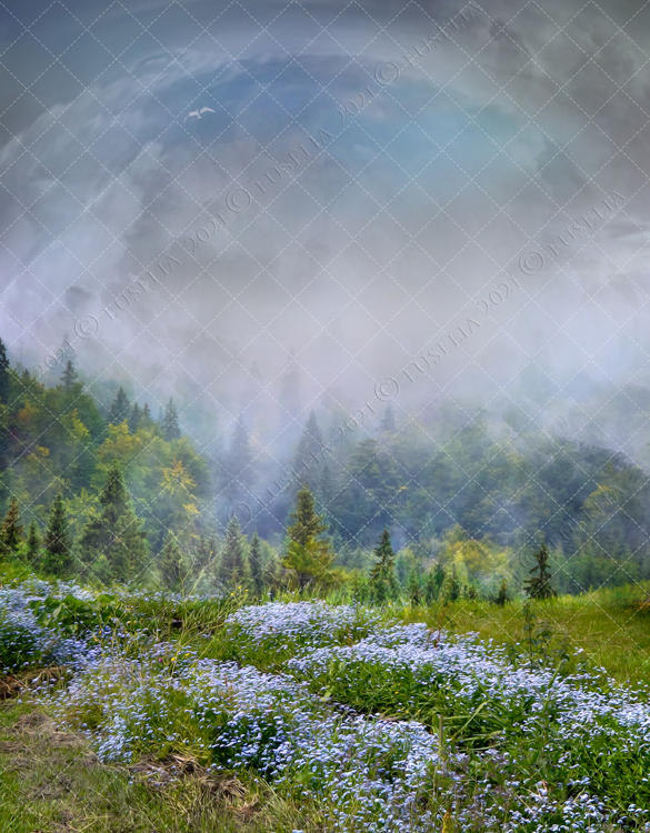 19ijarp0o Fgom Kumpulan green screen erpan1140 link media fire. https www deviantart com euselia art premium background 2021 1 867842790