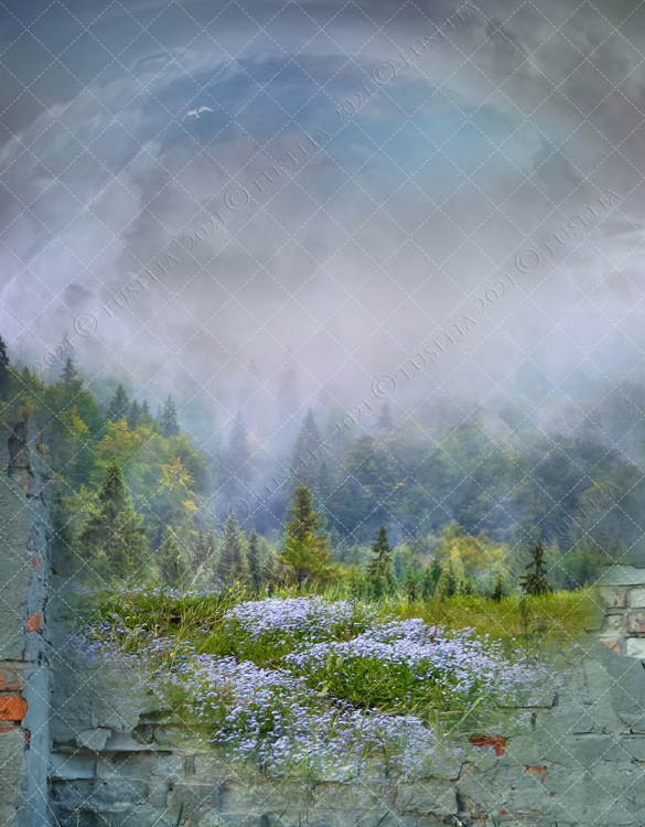 PREMIUM background - 2021-1b by Euselia on DeviantArt