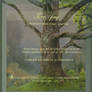Tree-png - stock