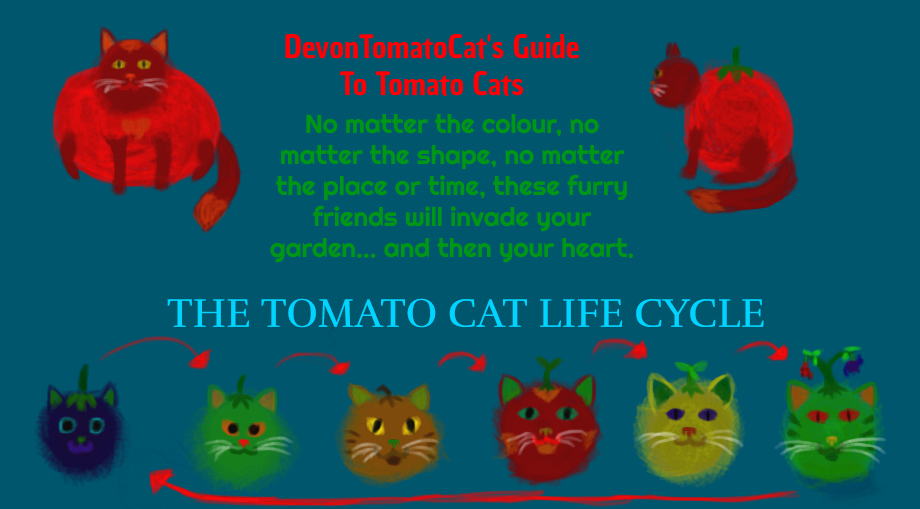 Tomato Cat Chart