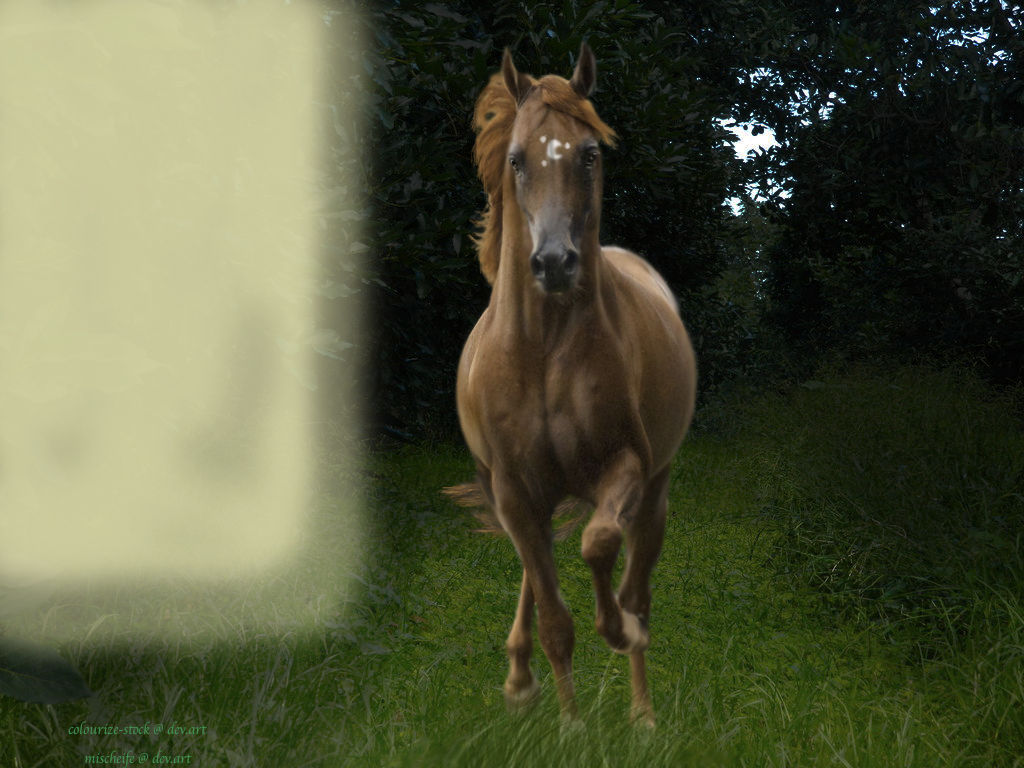 Moon html by mischeife on DeviantArt