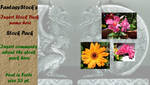 FantasyStock Template for pack by catluvr2