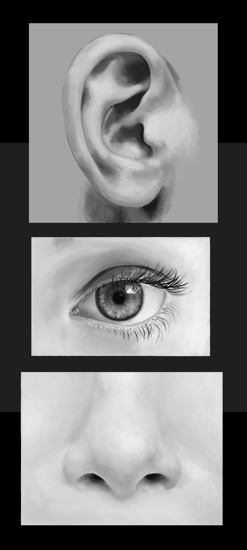 Painting Study Compilation