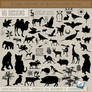 PS Brushes: Plants And Animals