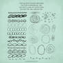 PS Brushes: Circles