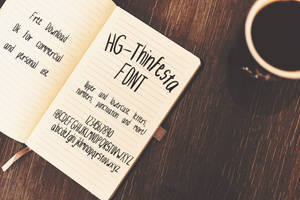 HG-Thinfesta FONT