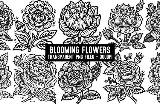 Free Transparent PNG Blooming Flowers Clipart