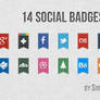 14 Social Badges