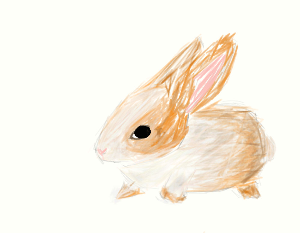 Brown Rabbit Deviantart Rabbit by twerkymop on DeviantArt