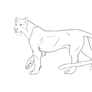 FREE big cat lineart