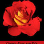 Carved Red Rose