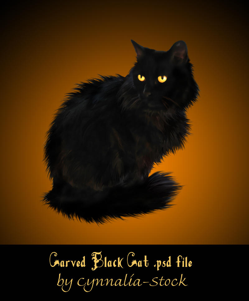 Black Cat