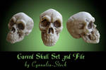 Spooky Skull Set by Cynnalia-Stock
