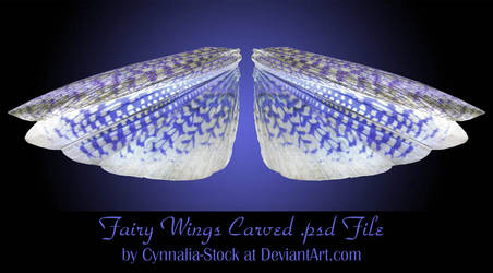 Fairy Wings by Cynnalia-Stock