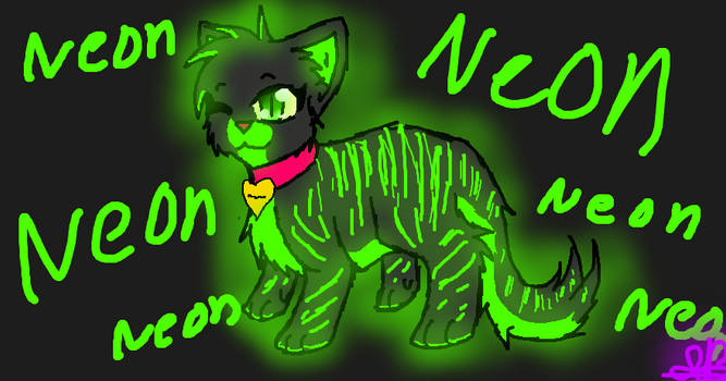 Neon Tiger Cat.