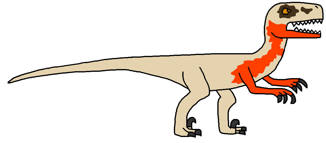Pax the Atrociraptor by Dinorex50 on DeviantArt