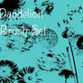 Dandelion Brush Set