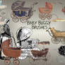 Baby Buggy Brushes