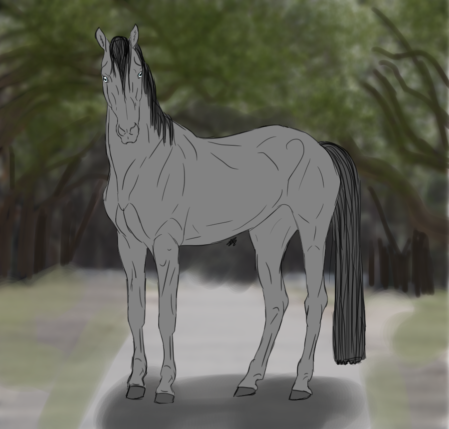 Horse base [Free to use] by WhiskyAndCigars on DeviantArt
