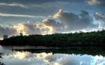 Mangrove - HDR by ironmanbr