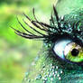 eye am a green fairy