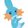 EL MUDKIP YA NACIO