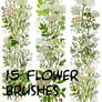 photoshop flower brushes