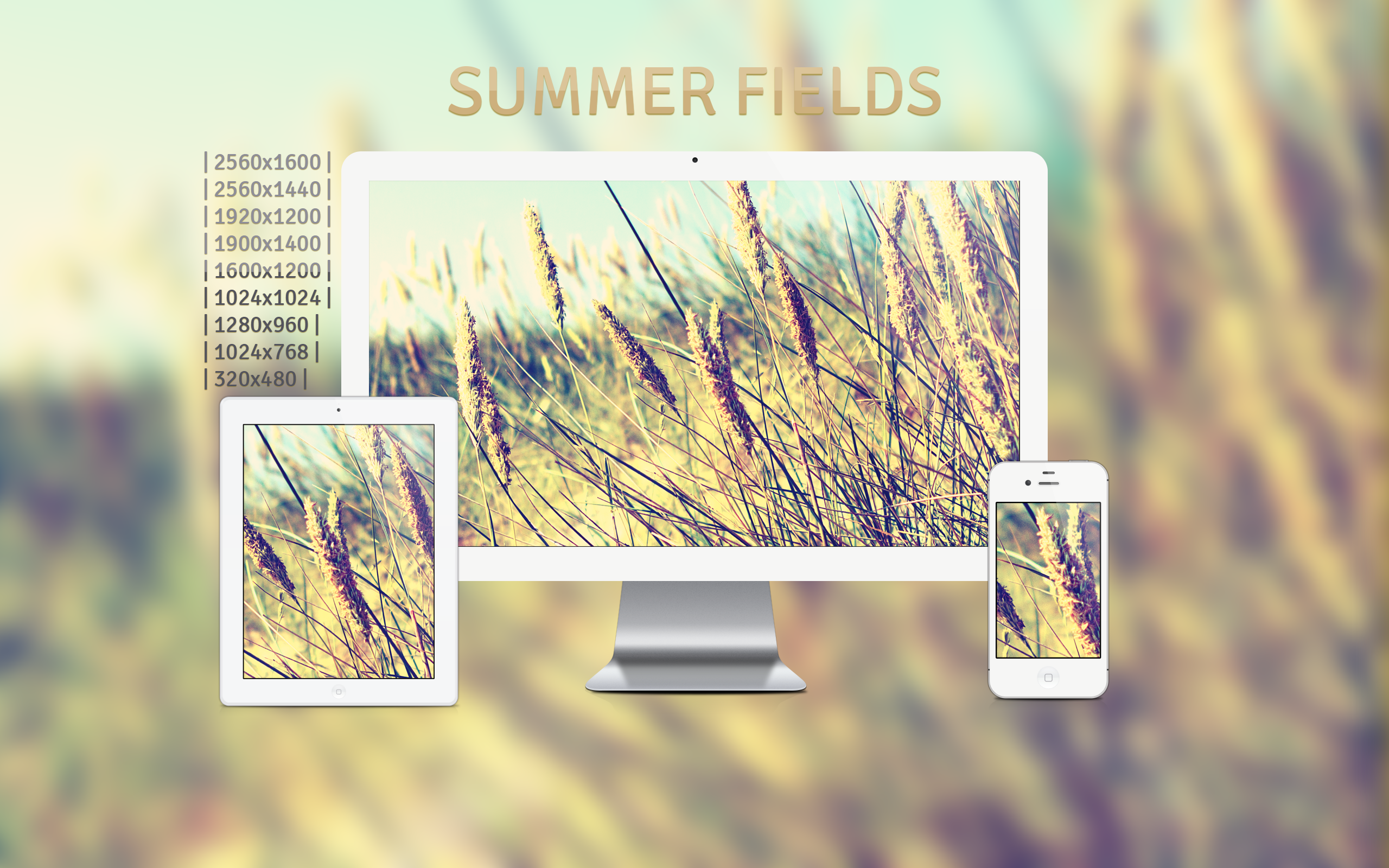 Summer Fields