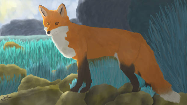 Standing Fox