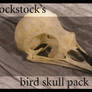 Bird Skull pack