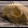 Critter Skull pack