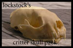 Critter Skull pack