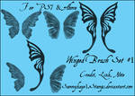 Wings Brush Set 1 by Sammykaye1sStamps