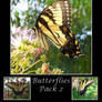 Butterflies Pack 2