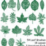 PS7 - 54 Leaf Brushes